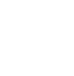 Journey to Christmas