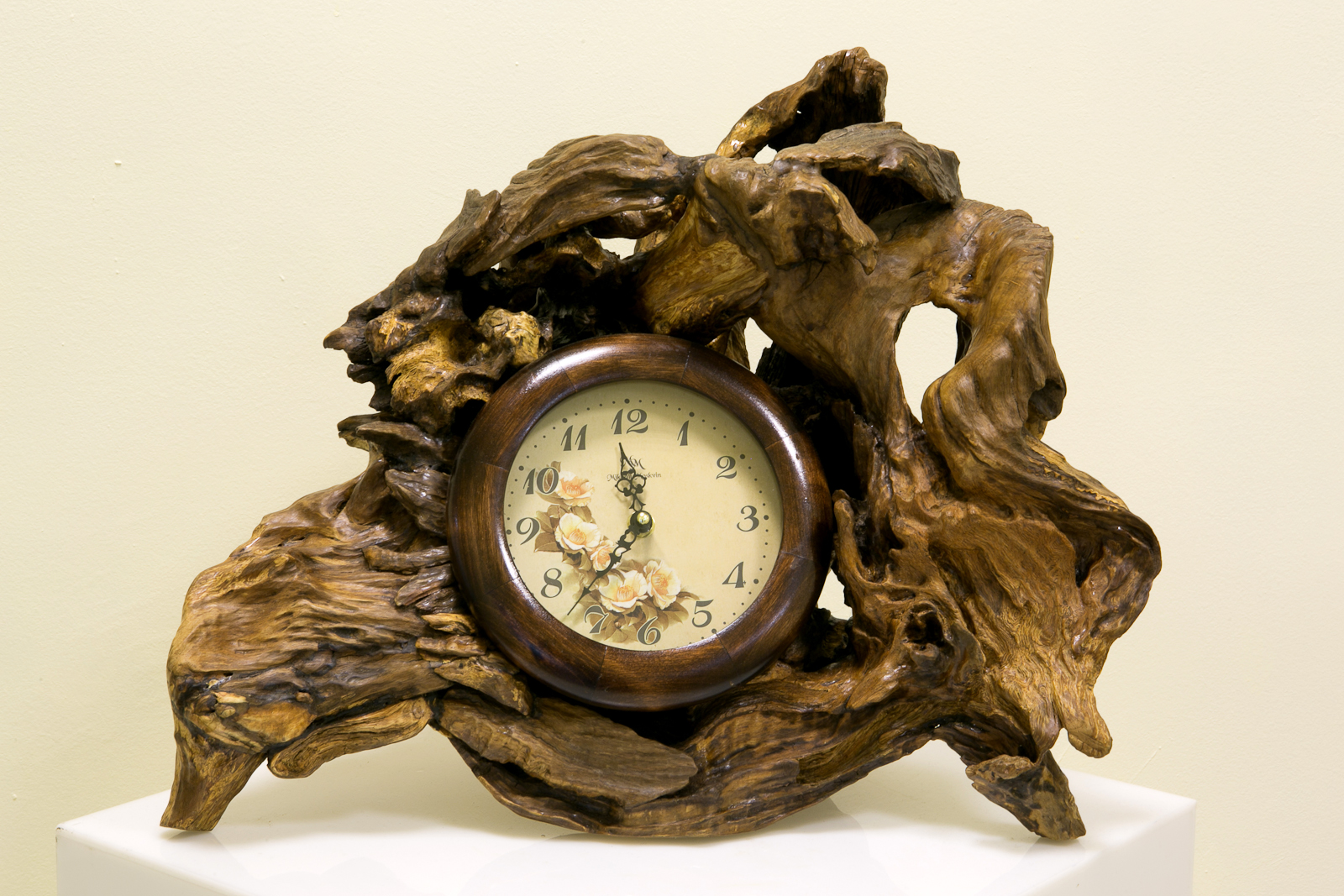 «Природа и фантазия» в Дарвиновском музее – события на сайте «Московские Сезоны»