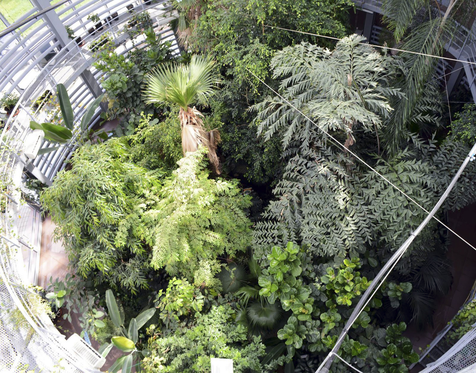 Курс занятий «Рассада зоосада» в Московском зоопарке – события на сайте «Московские Сезоны»