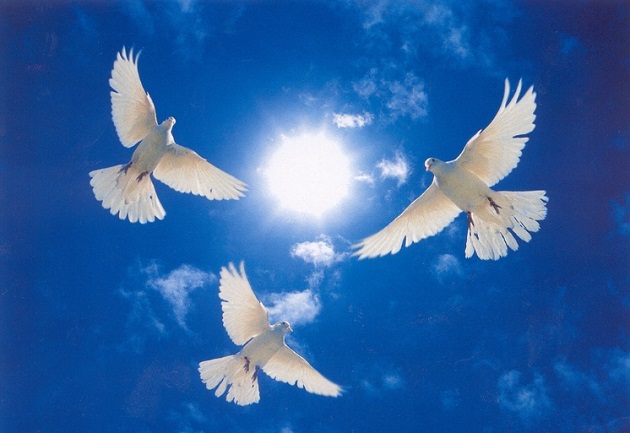 Гражданско-патриотическая акция «Миру – мир!» – события на сайте «Московские Сезоны»