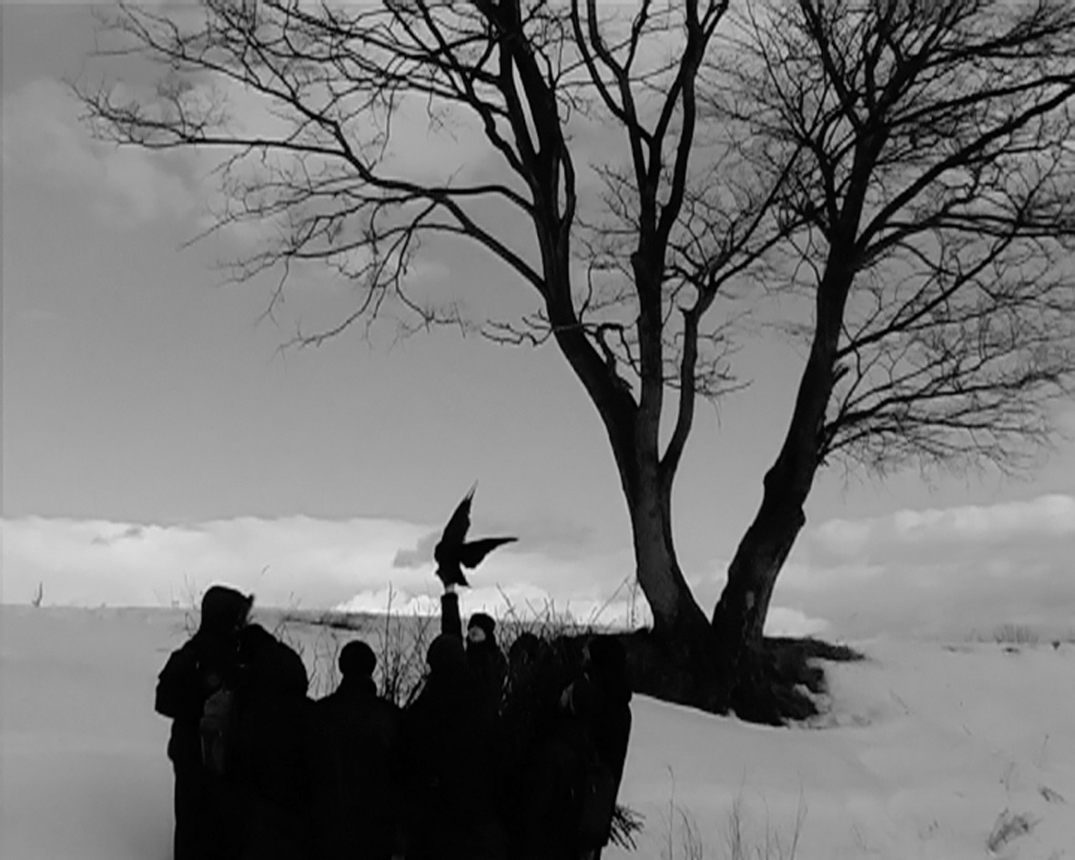 Выставка Post-mortem Monography – события на сайте «Московские Сезоны»