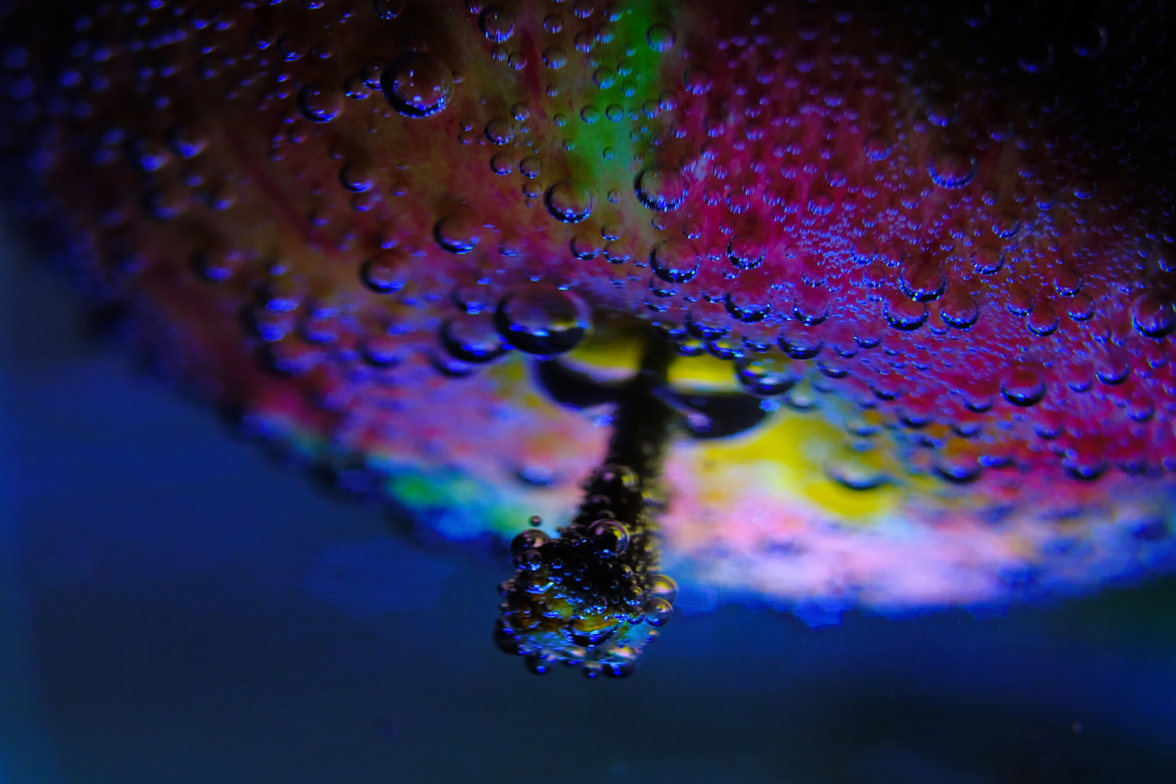 Выставка «Сотворение иллюзий» – события на сайте «Московские Сезоны»