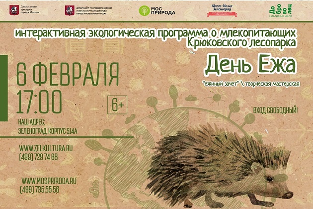 Встреча «День ежа» – события на сайте «Московские Сезоны»