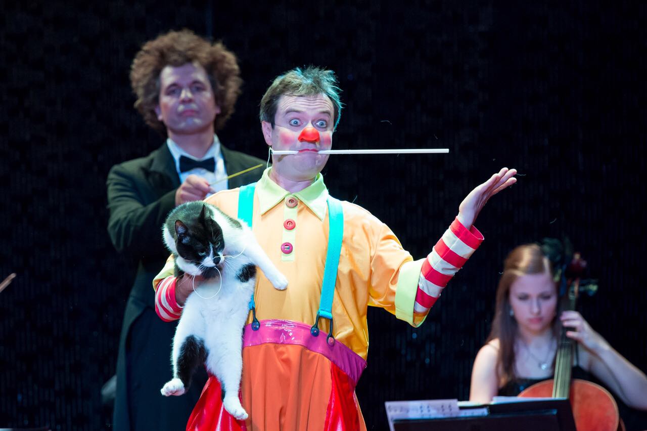 Шоу «Пушистая рапсодия» – события на сайте «Московские Сезоны»