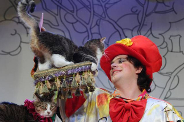 Спектакль «Фантазии и кошки» – события на сайте «Московские Сезоны»