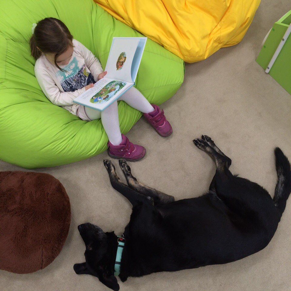 Встреча с собакой-терапевтом «Читаем вместе» – события на сайте «Московские Сезоны»