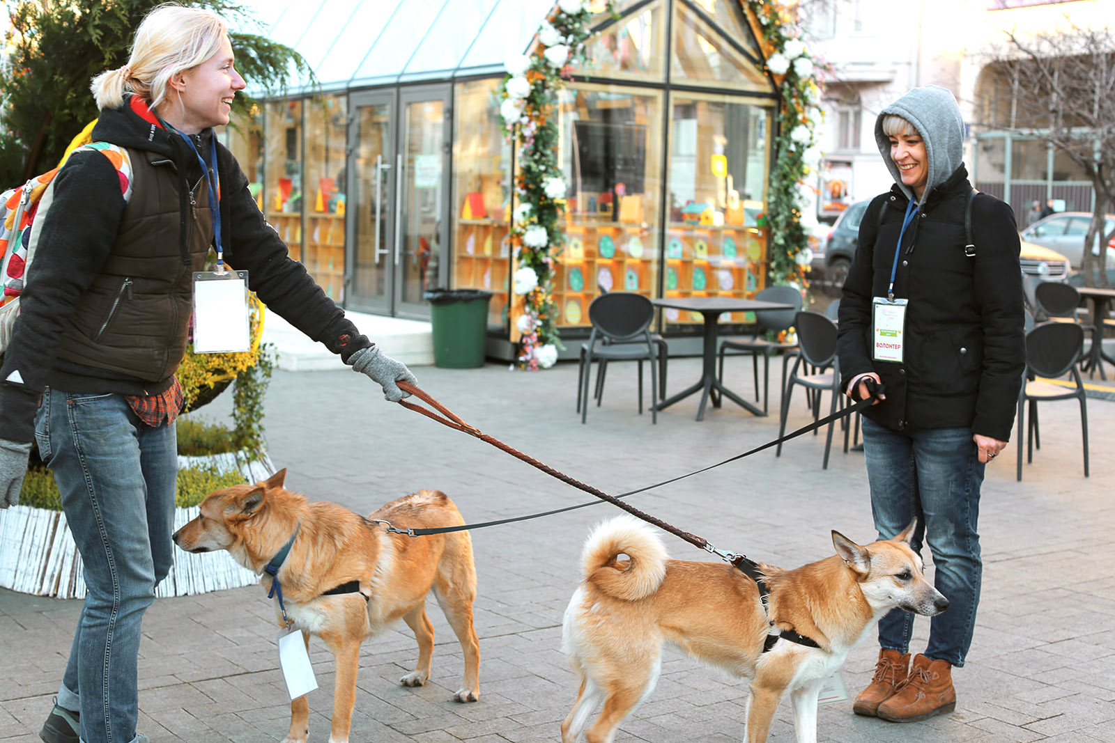 Спецпроект «Четвероногий друг» на Тверском бульваре – события на сайте «Московские Сезоны»