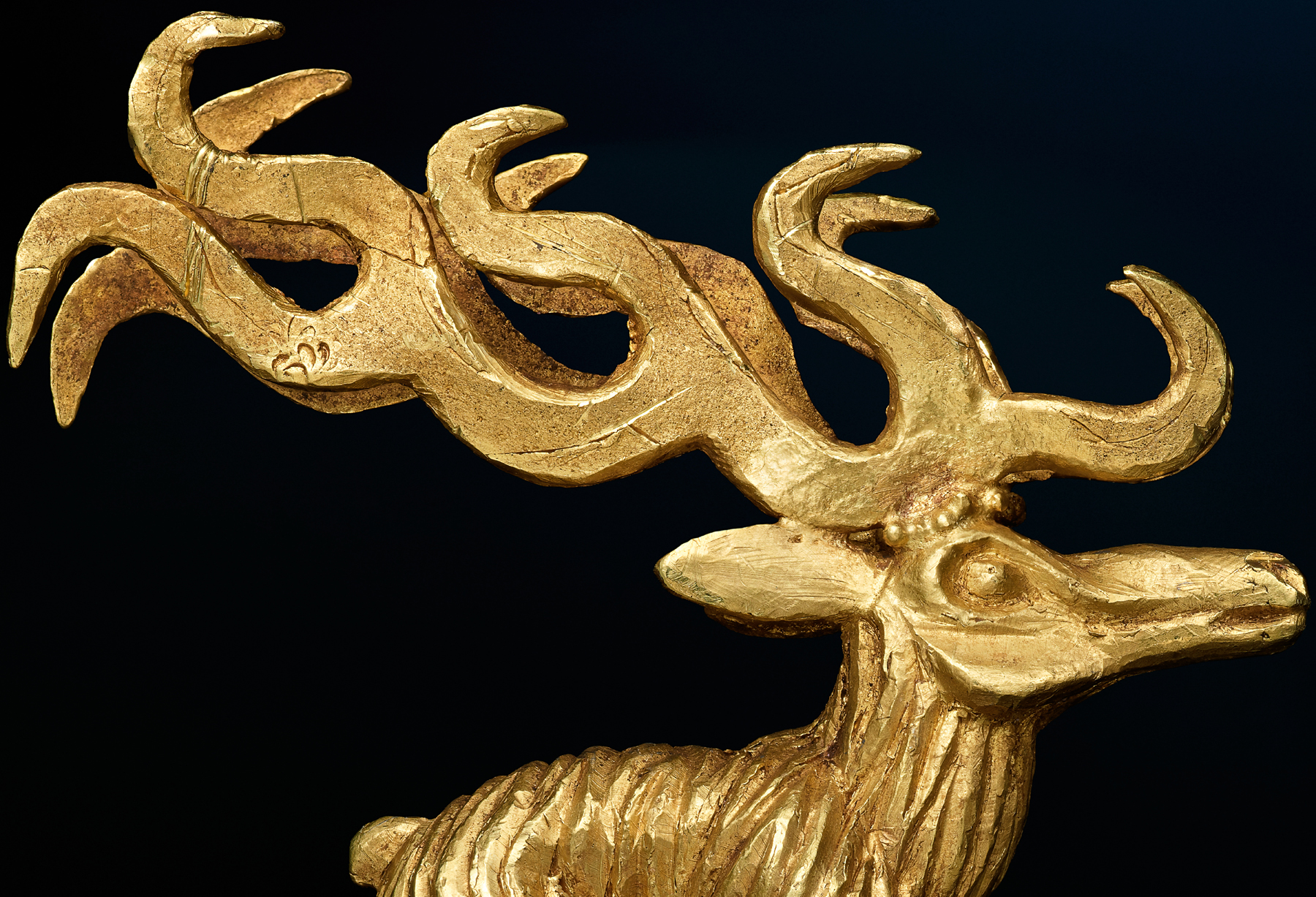 Представление фотоальбома «Сокровища Долины царей Тувы» – события на сайте «Московские Сезоны»