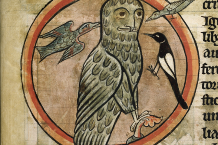 Лекция «Птицы в истории» – события на сайте «Московские Сезоны»