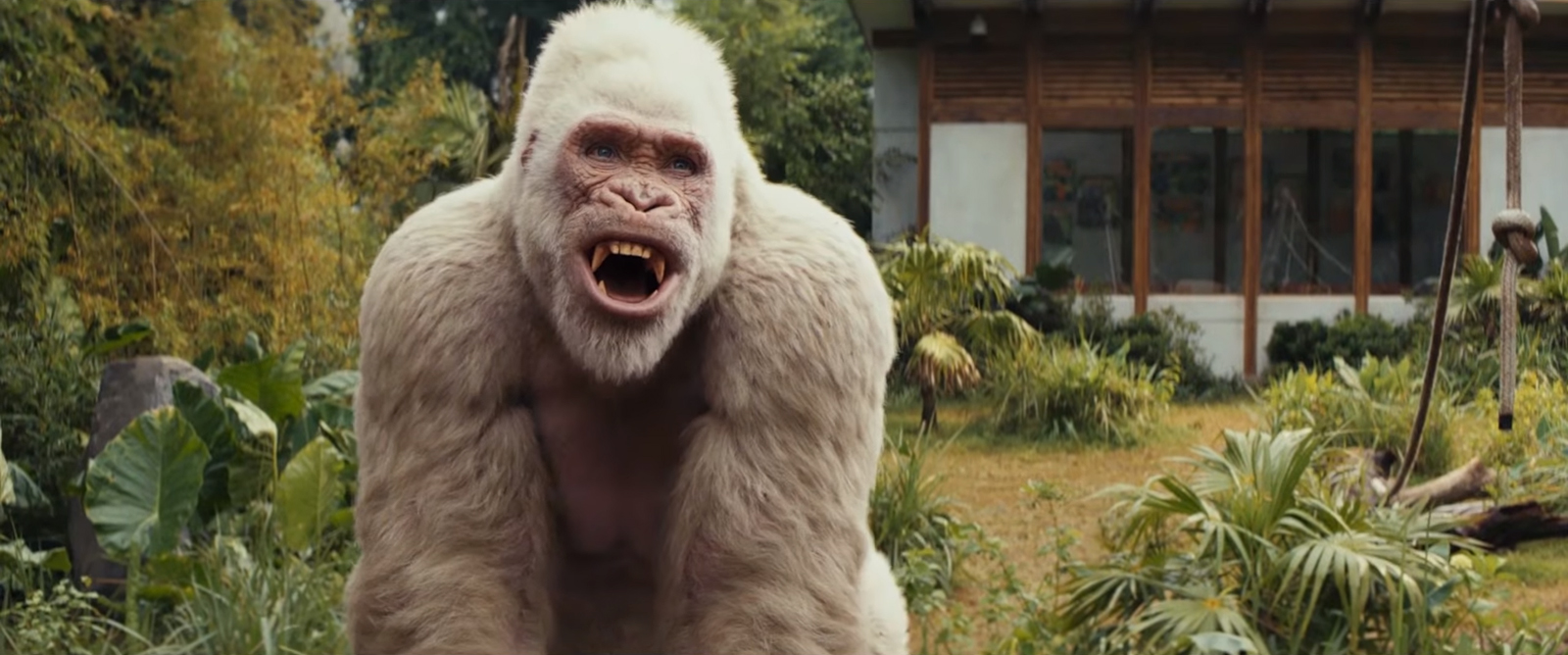 «Рэмпейдж» в сети кинотеатров «Москино» – события на сайте «Московские Сезоны»