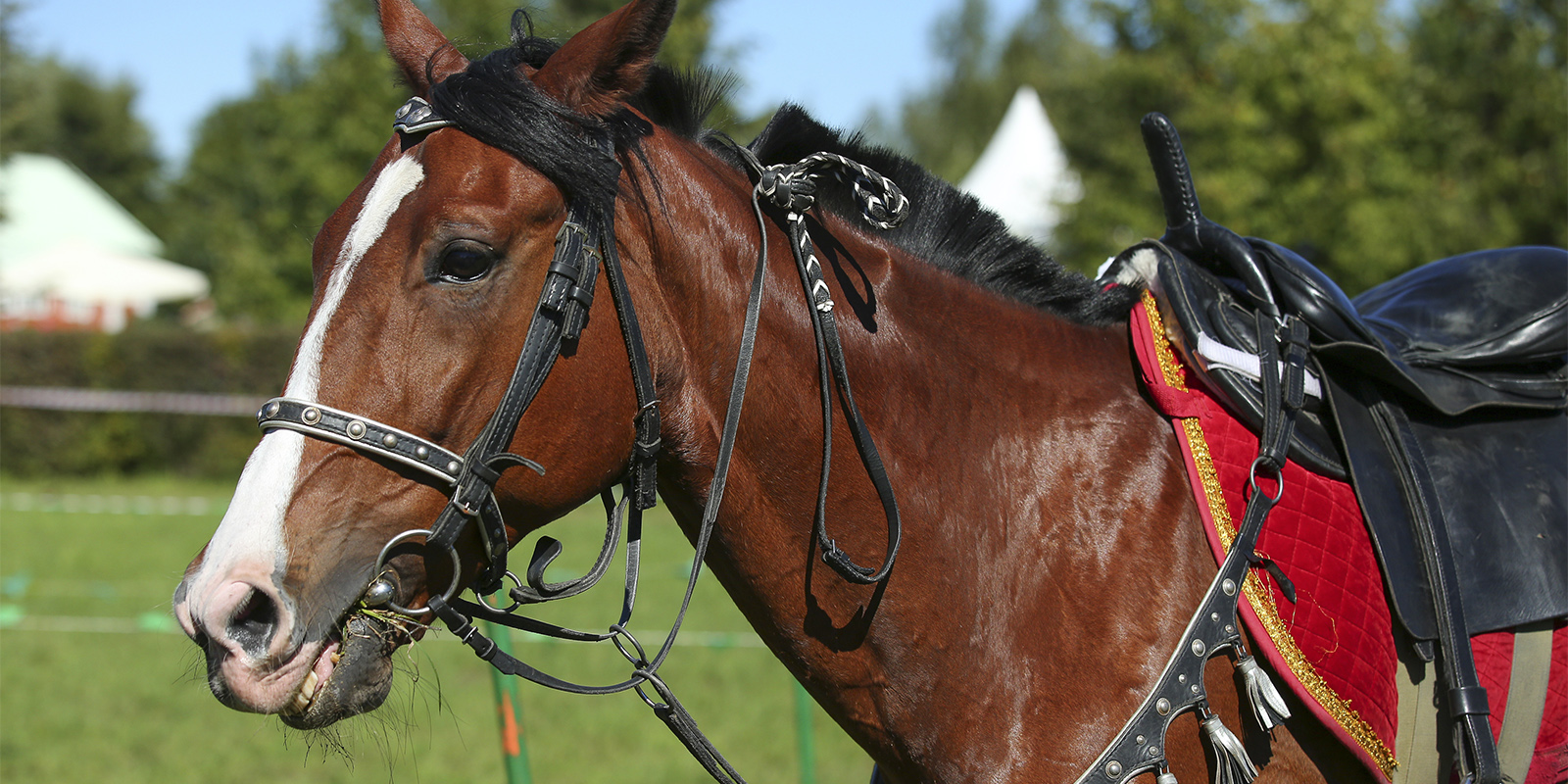 «Первый на селе работник» в «Коломенском» – события на сайте «Московские Сезоны»