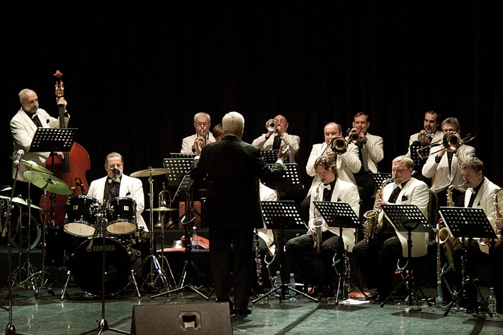 Посвящение Элле Фицджеральд в Доме музыки – события на сайте «Московские Сезоны»