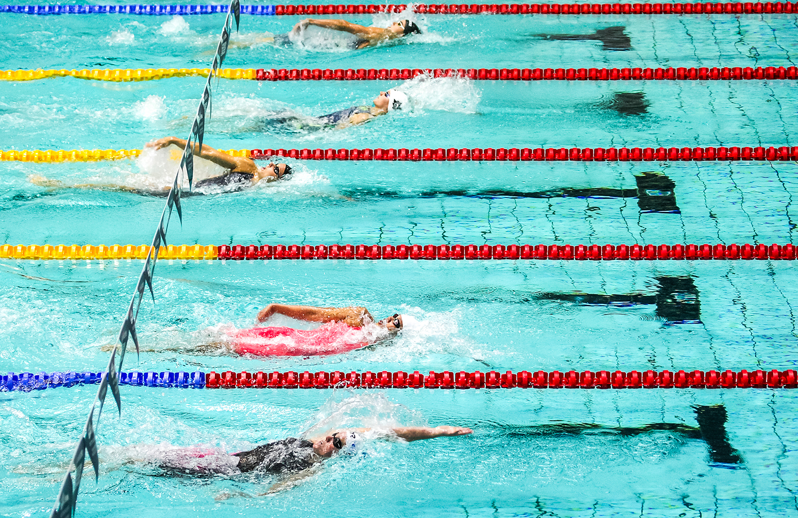 Чемпионат России по плаванию в спорткомплексе «Олимпийский» – события на сайте «Московские Сезоны»