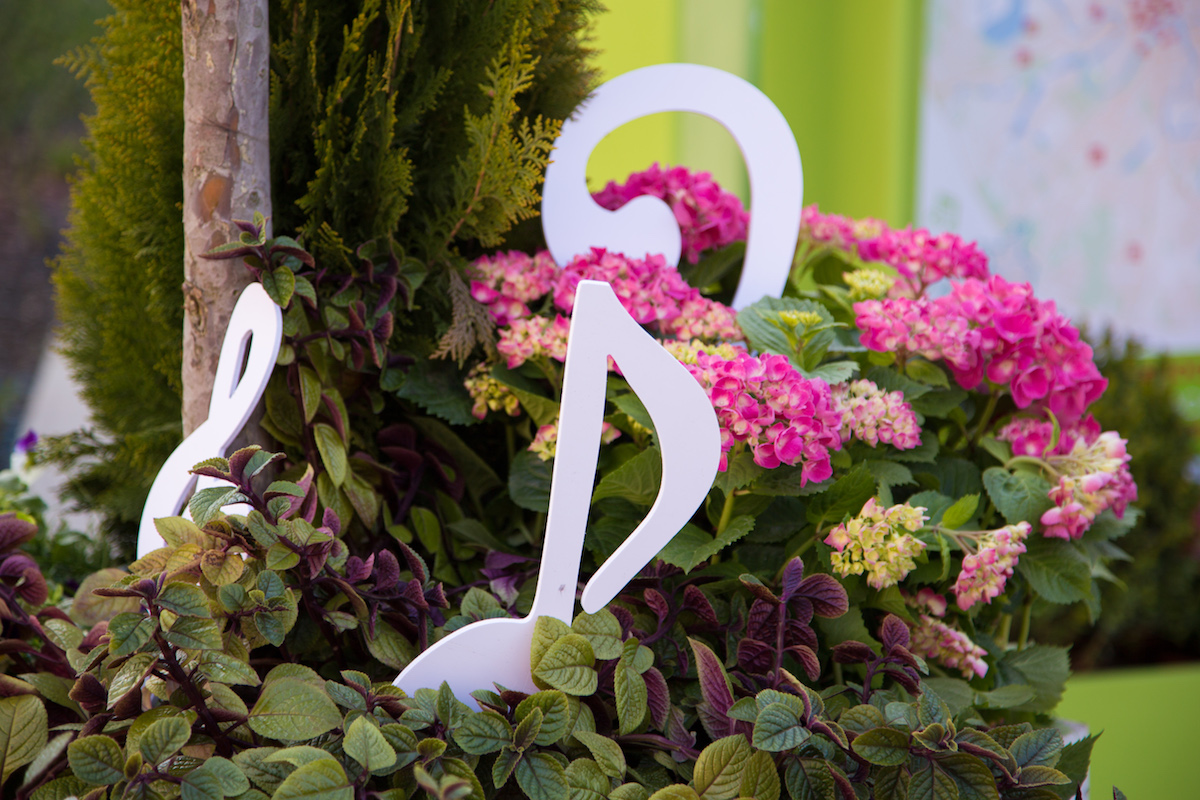 Скрипичный ключ у перехода на Тверской-Ямской улице – события на сайте «Московские Сезоны»