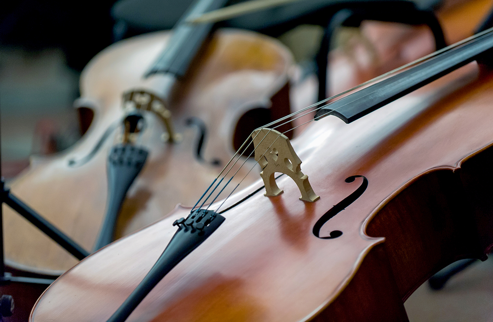 Вечер скрипичной музыки в Музее А.Н. Скрябина – события на сайте «Московские Сезоны»