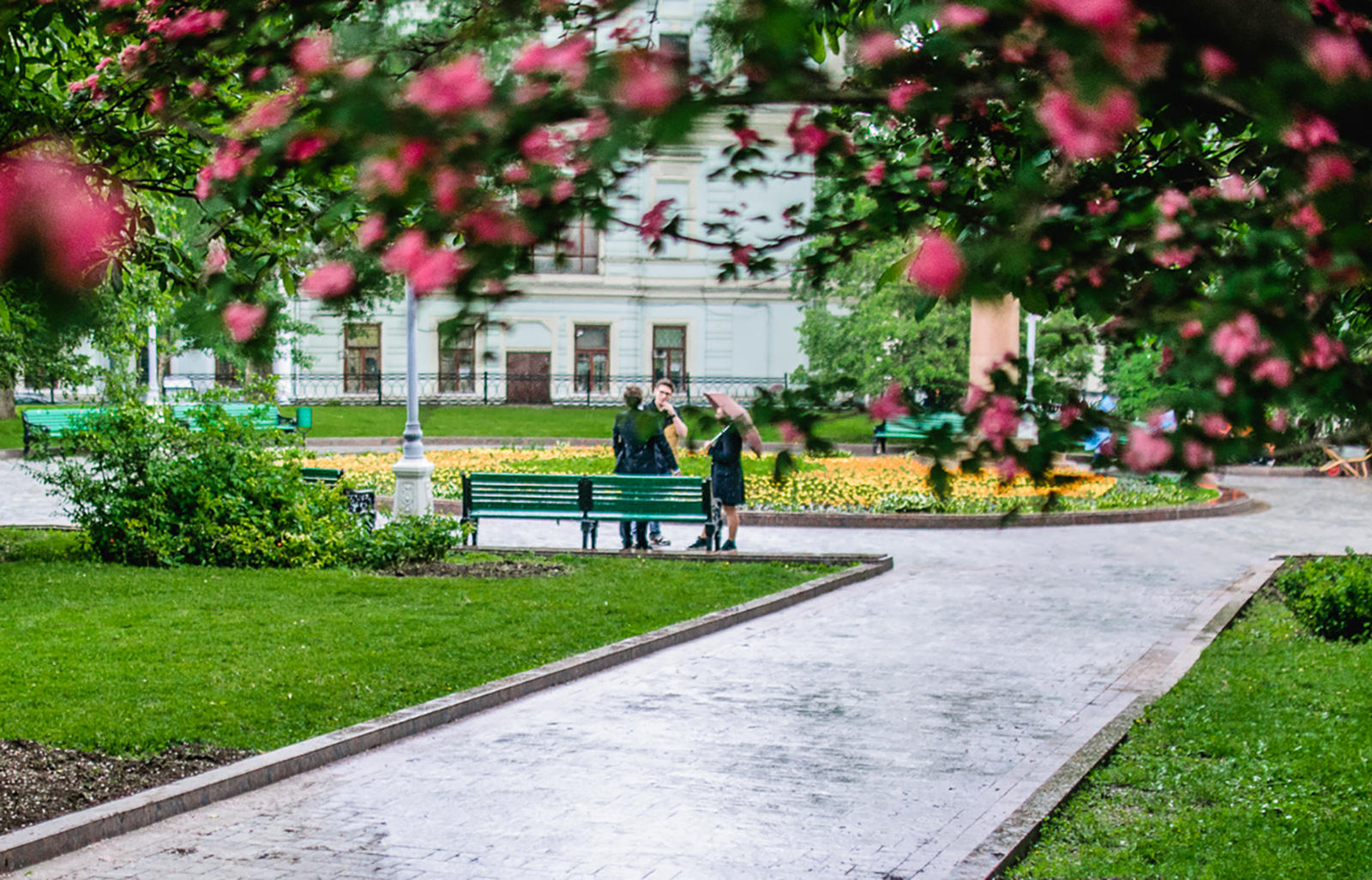 Май московская область