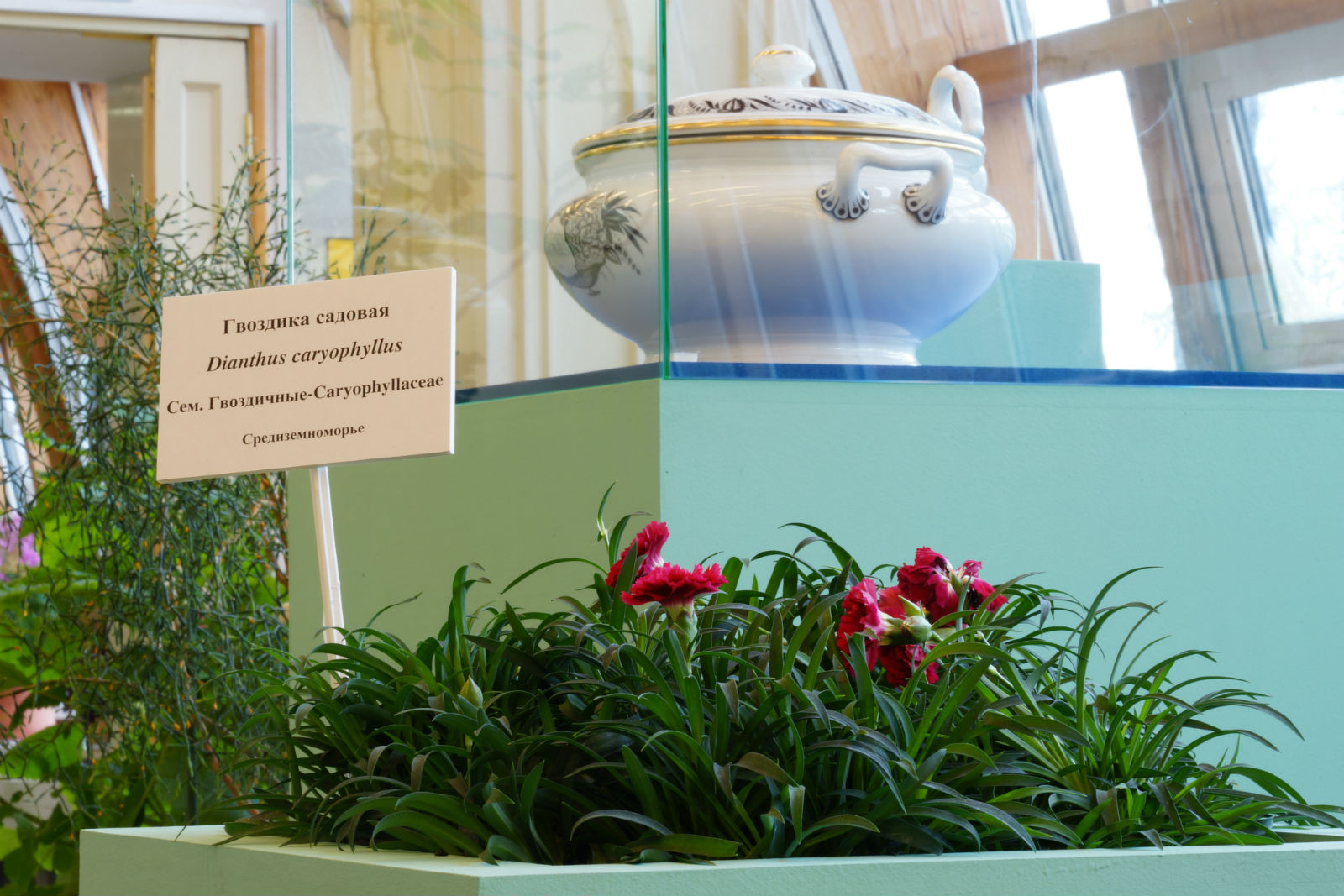 Программа «Ускользающая красота» – события на сайте «Московские Сезоны»