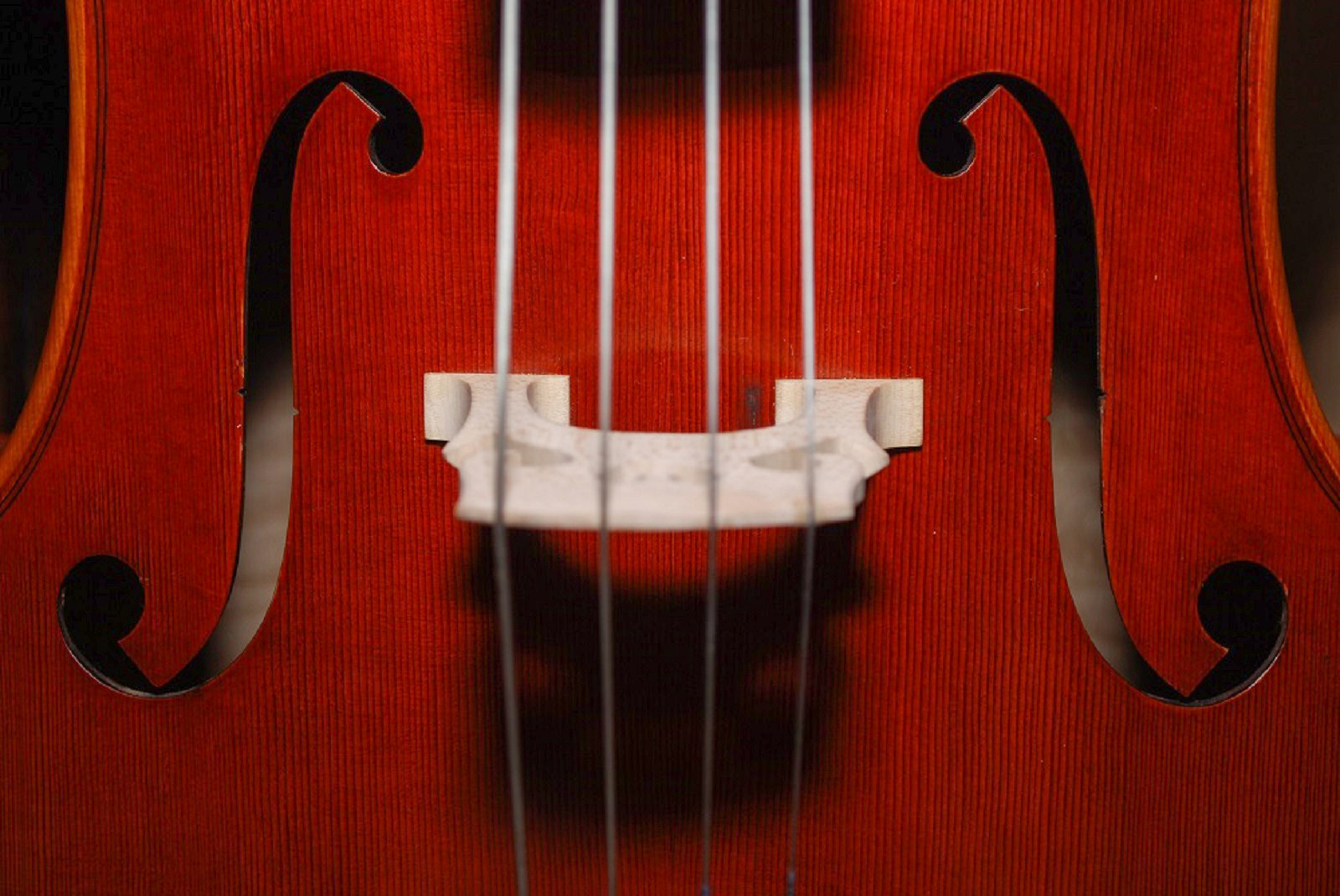 Вечер виолончельных дуэтов в Музее Скрябина – события на сайте «Московские Сезоны»