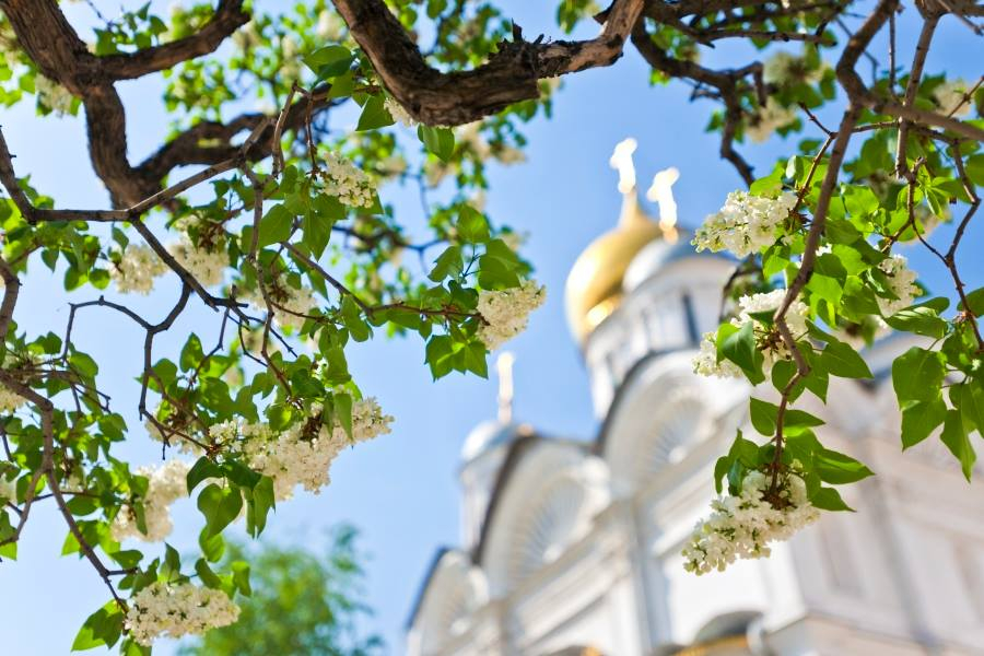Лекционная программа «Древние соборы Московского Кремля» – события на сайте «Московские Сезоны»