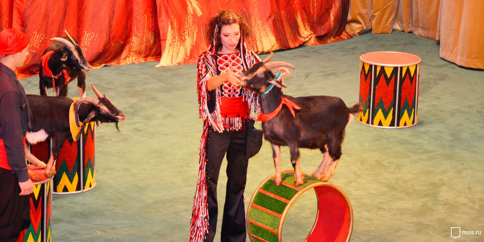 «Дорога — длиною в век!» в театре «Уголок дедушки Дурова» – события на сайте «Московские Сезоны»