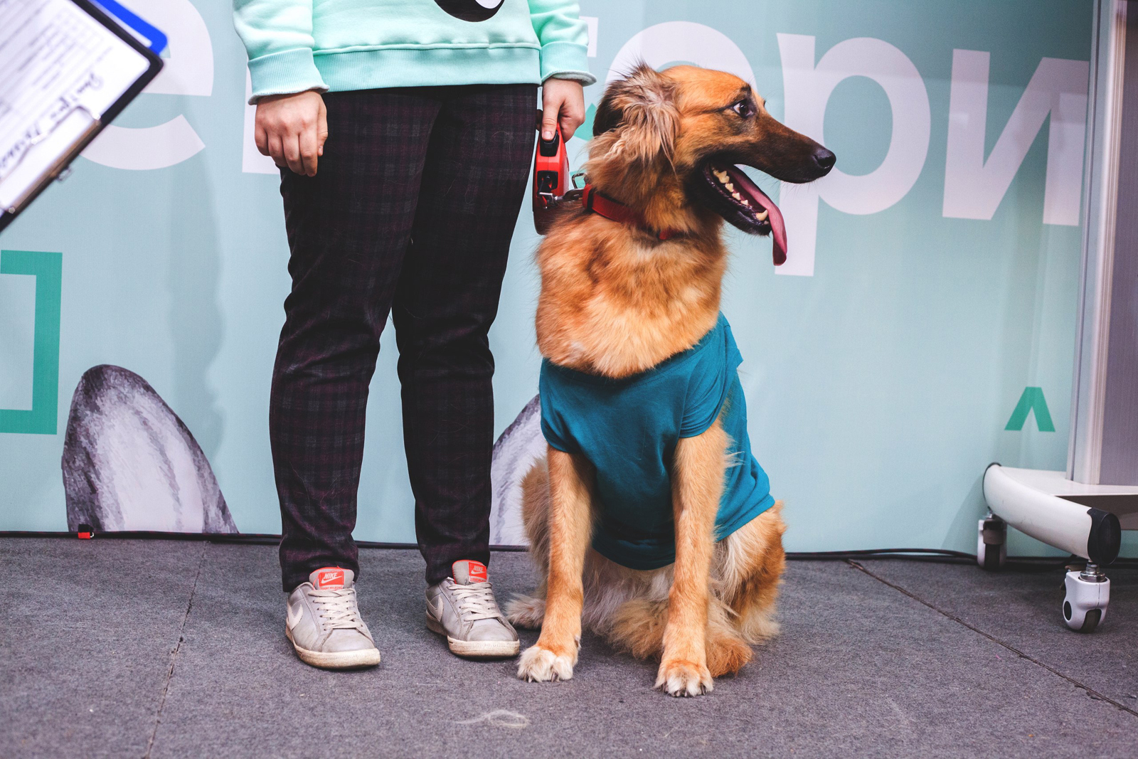 Фестиваль Petshop Days в саду имени Баумана – события на сайте «Московские Сезоны»