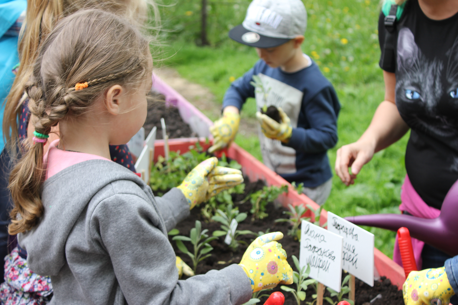 «Дача в большом городе» в Перовском парке – события на сайте «Московские Сезоны»