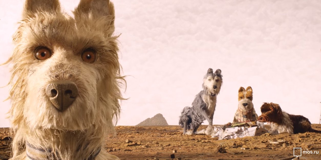 «Остров собак» в сети кинотеатров «Москино» – события на сайте «Московские Сезоны»