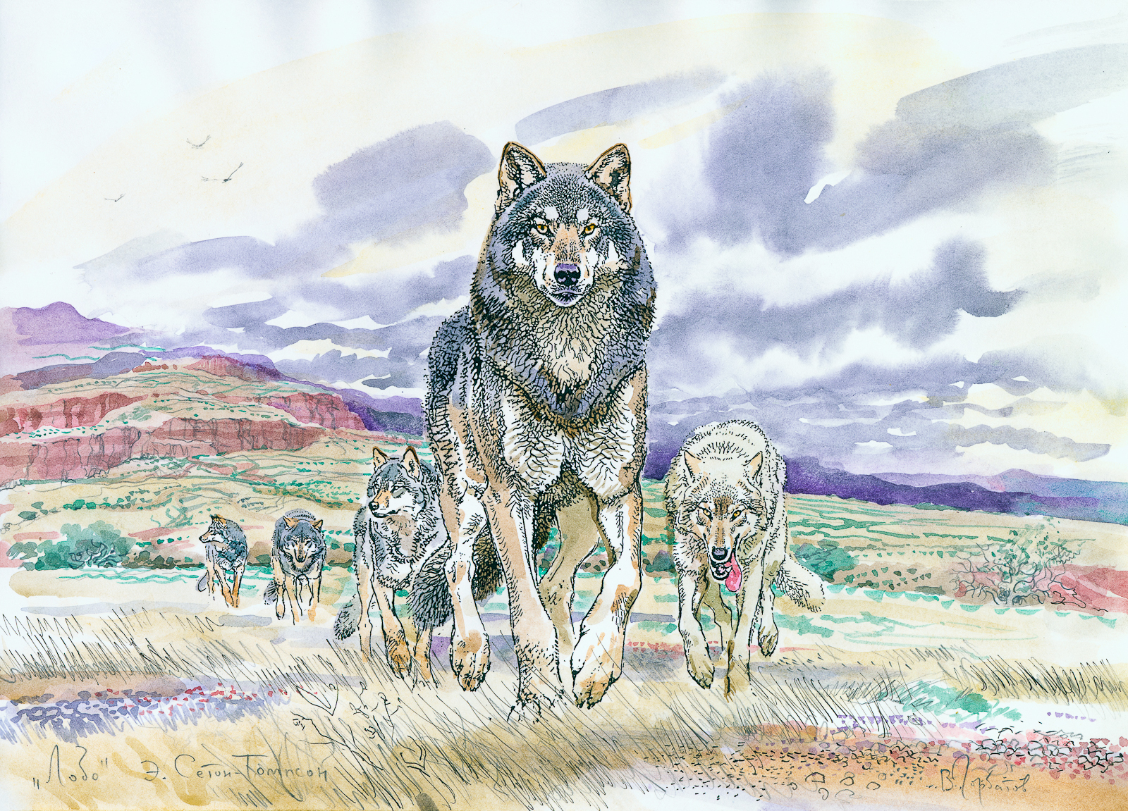 «О сером разбойнике замолвим слово» в Дарвиновском музее – события на сайте «Московские Сезоны»