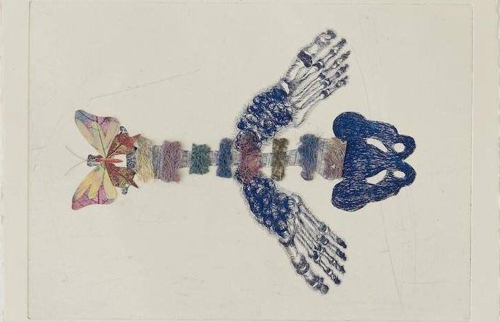 Вводные лекции курса «Не-человеческие антропологии» – события на сайте «Московские Сезоны»