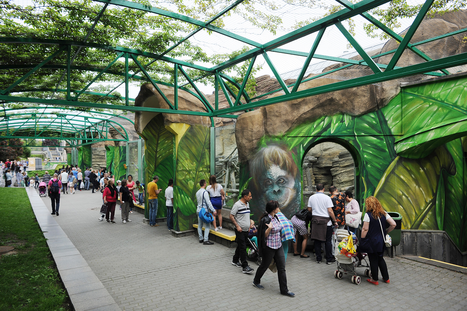 Лекция «Роль зоопарков в сохранении видов и работа по возвращению в природу» – события на сайте «Московские Сезоны»