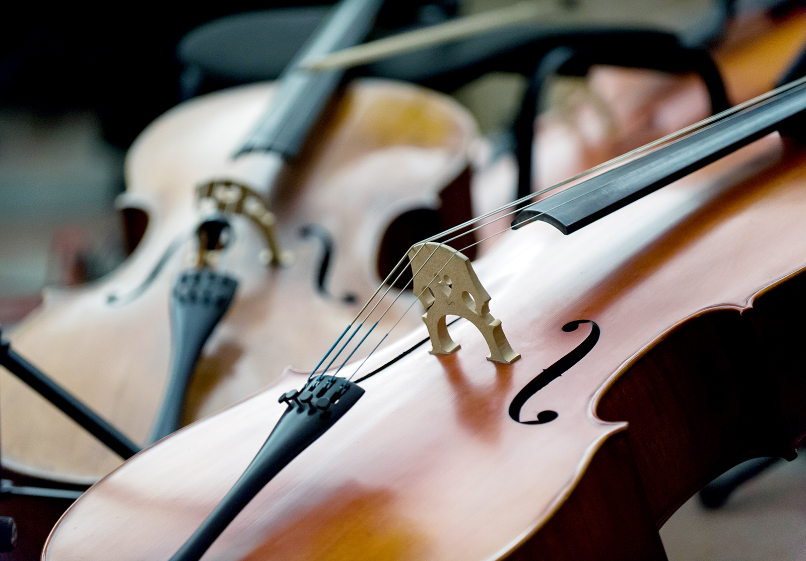 Вечер скрипичной музыки в Доме Гоголя – события на сайте «Московские Сезоны»