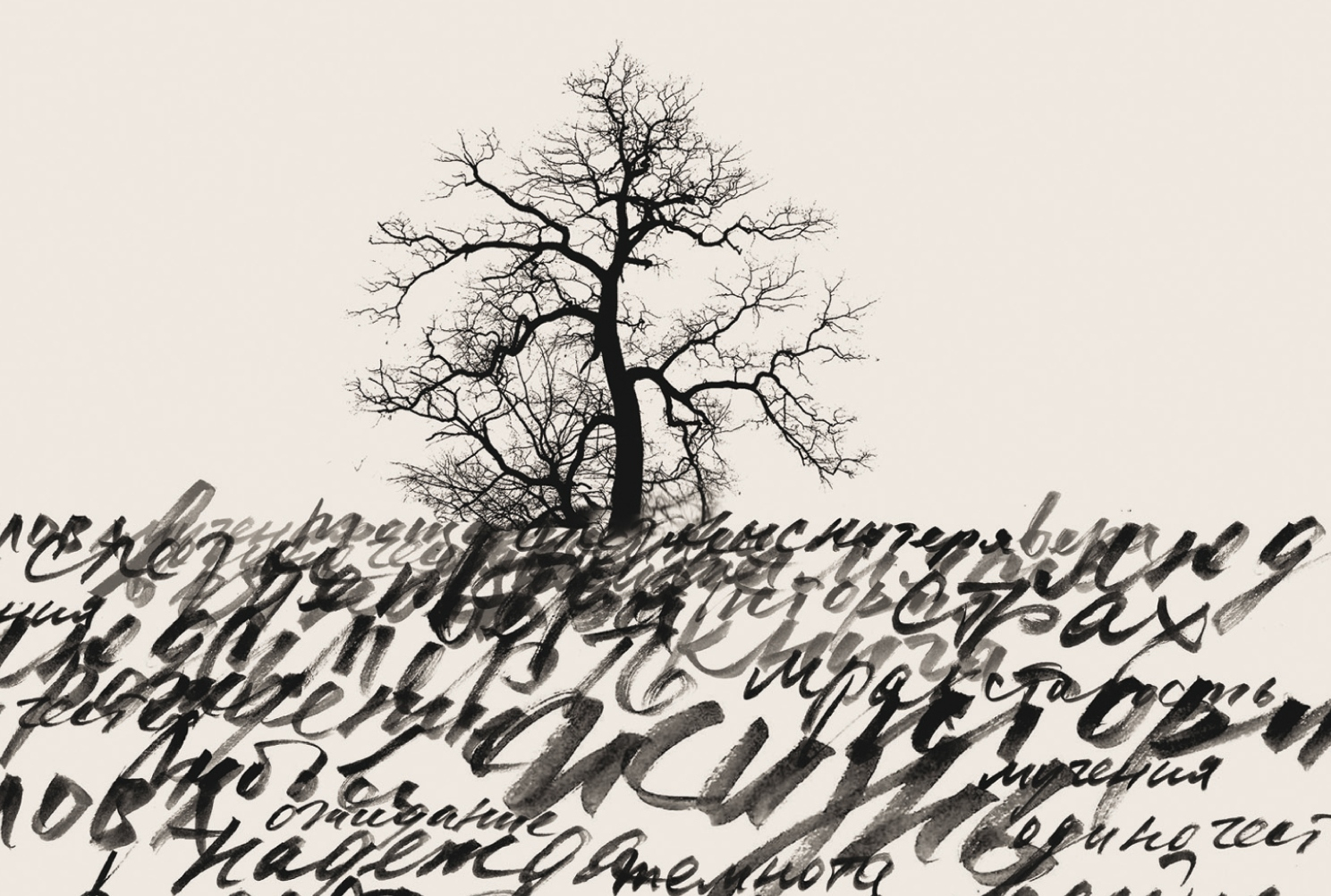 Презентация романа Петра Пазиньского «Пансионат» – события на сайте «Московские Сезоны»