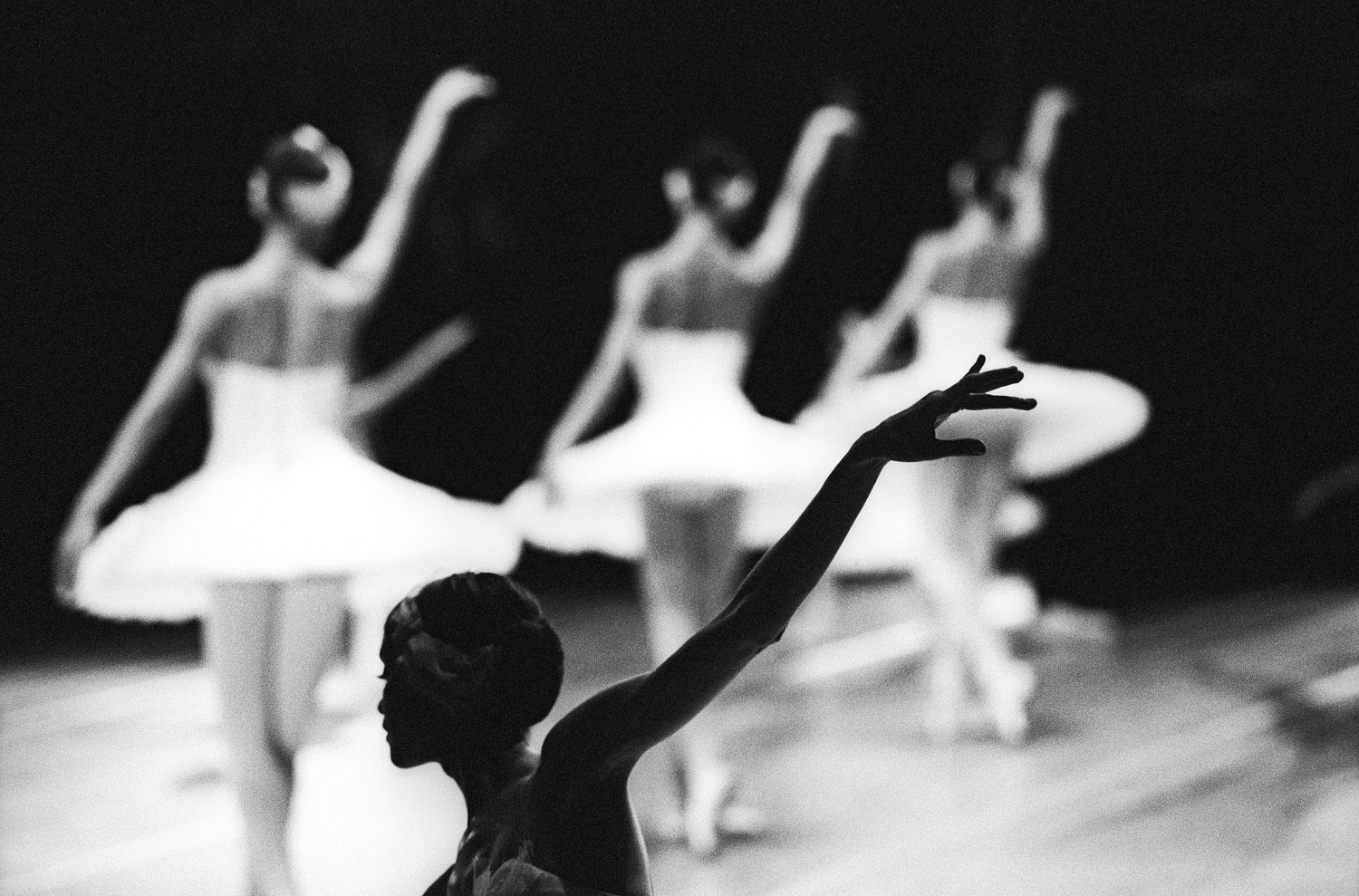Выставка «Большой балет by Sasha Gusov» – события на сайте «Московские Сезоны»