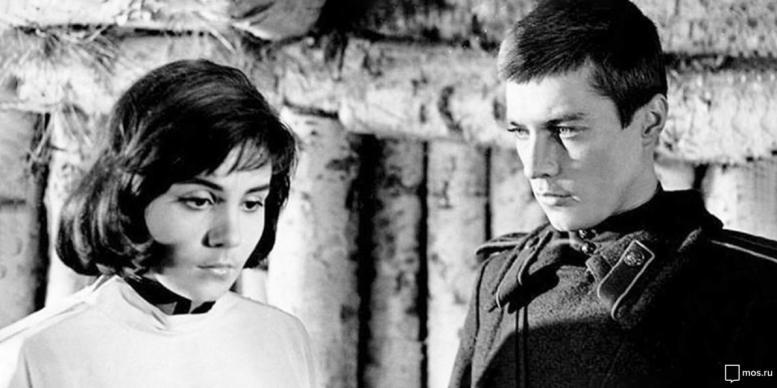 Производственные драмы в сети кинотеатров «Москино» – события на сайте «Московские Сезоны»