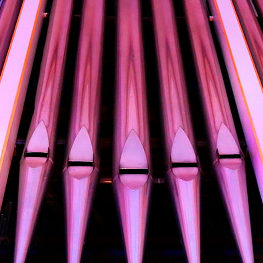 Концерт «Ш. Перро. Сказка «Золушка» с органом, арфой и голосом» – события на сайте «Московские Сезоны»