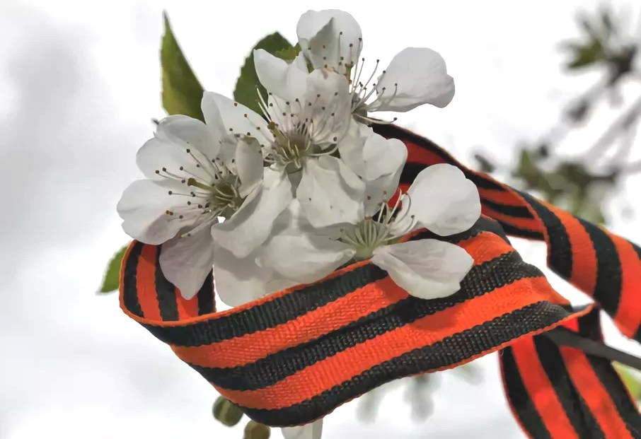 Праздник «День Победы на Партизанской улице» – события на сайте «Московские Сезоны»