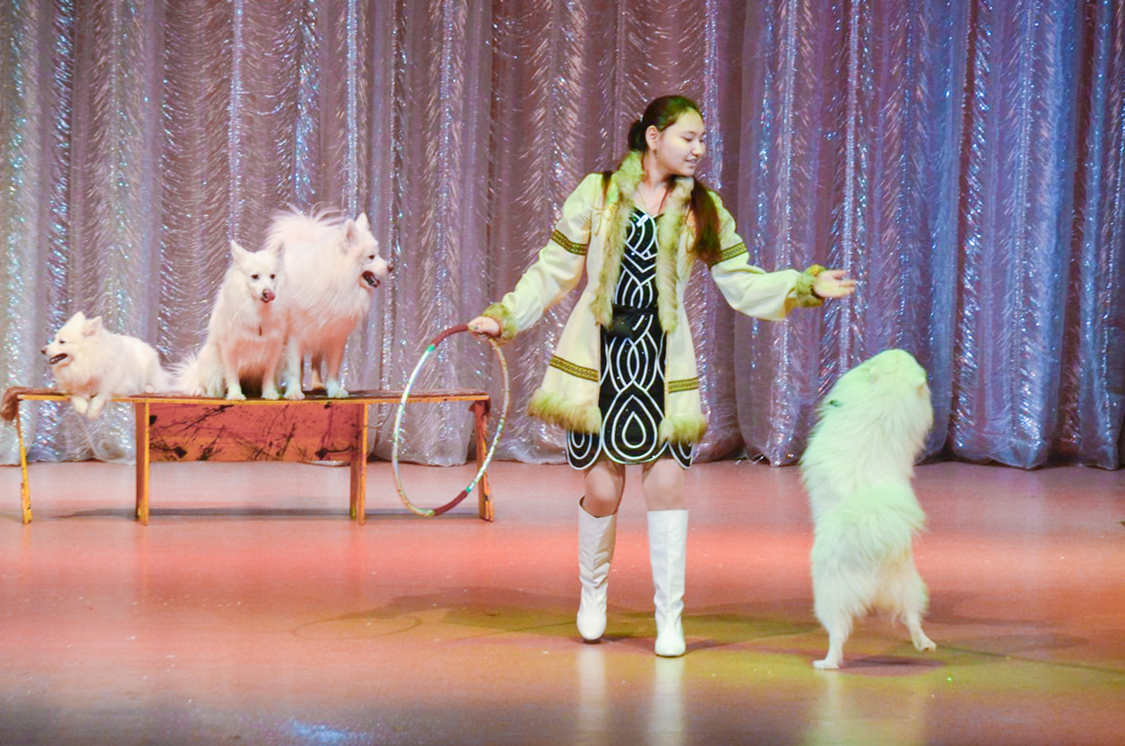 «Московское шоу зверей» в Театре иллюзии – события на сайте «Московские Сезоны»