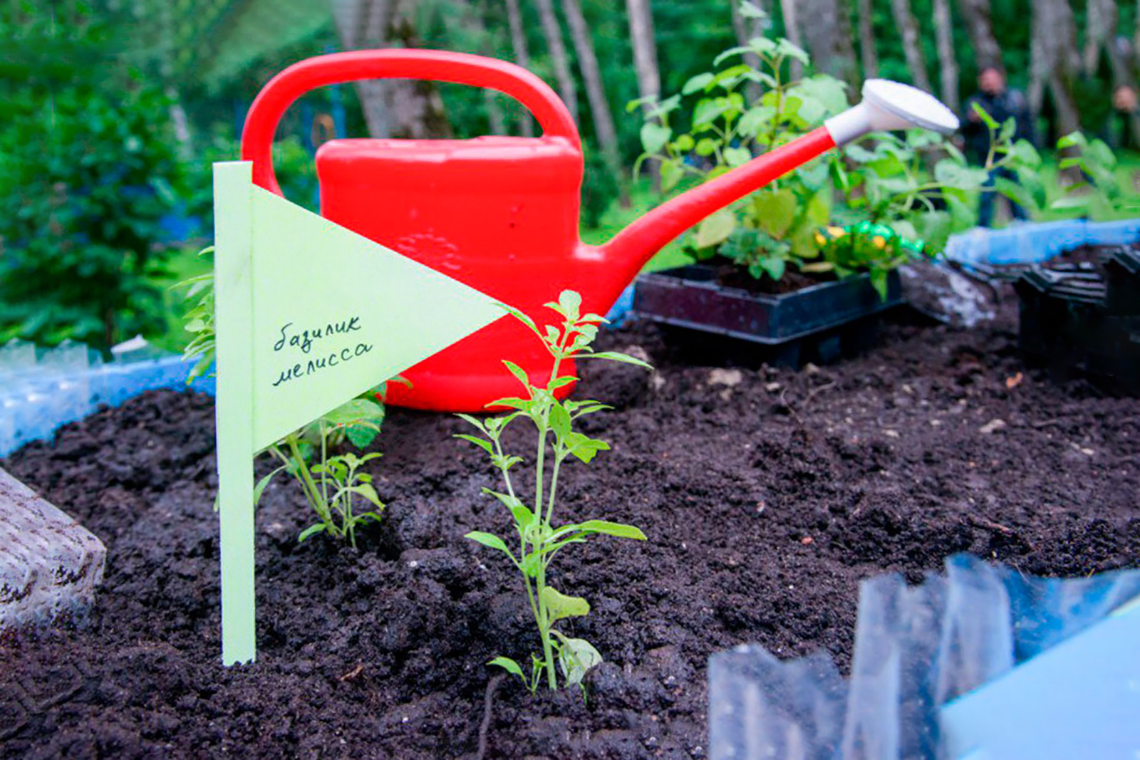 Занятие «Дача в большом городе» в Перовском парке – события на сайте «Московские Сезоны»