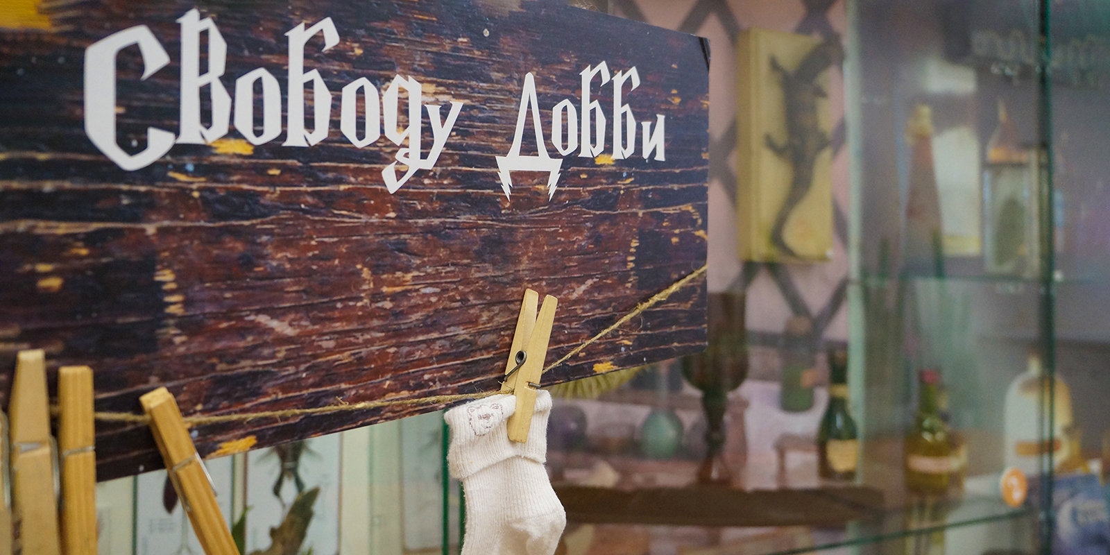 «Зельеварение» и «Фантастические твари»: магическая школа в Музее Тимирязева – события на сайте «Московские Сезоны»