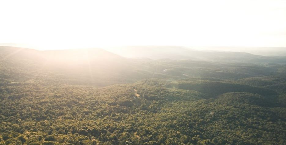 Лекция «Есть ли у меня предназначение?» – события на сайте «Московские Сезоны»