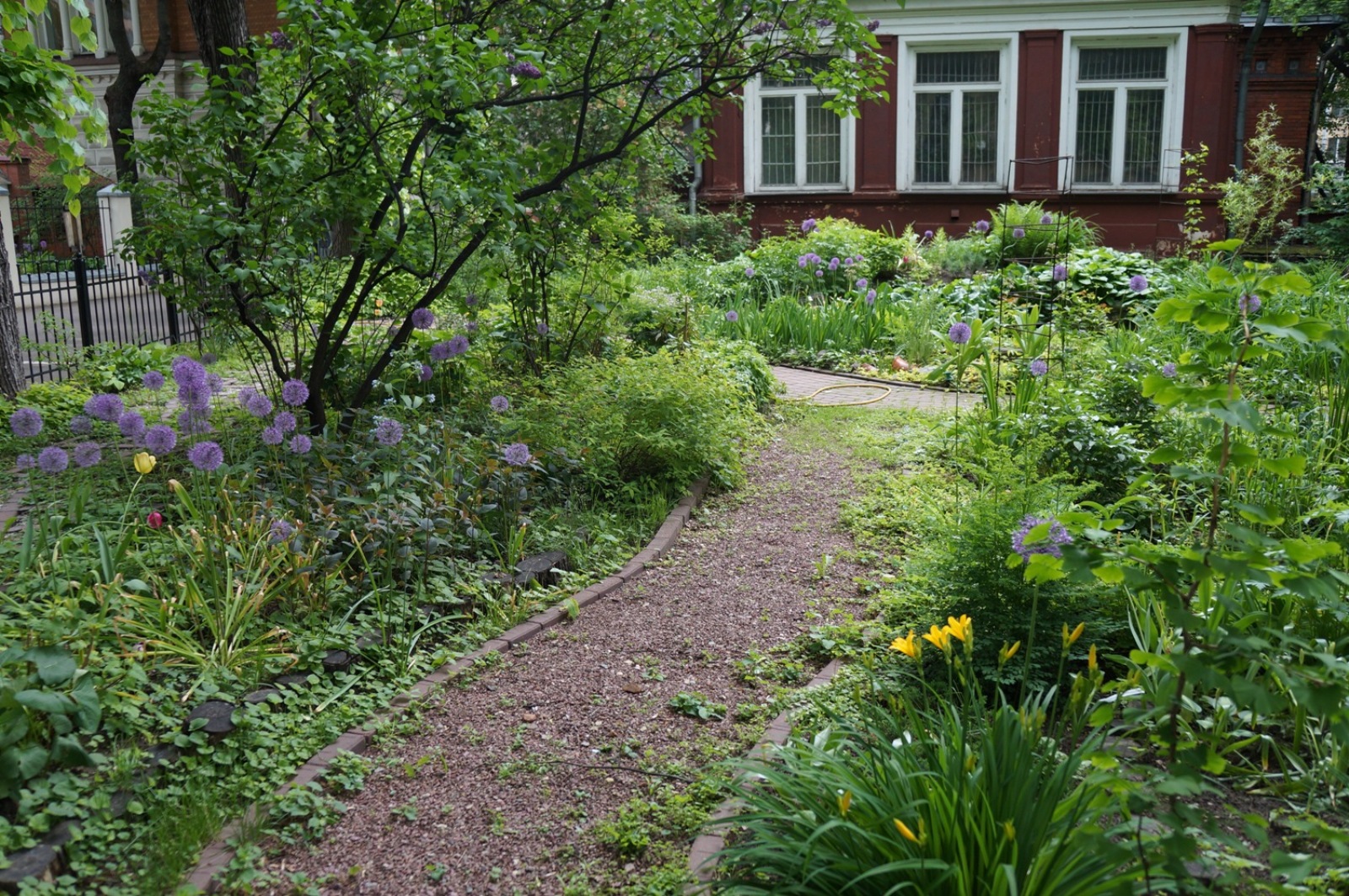 «Лето под липами» в Биологическом музее – события на сайте «Московские Сезоны»