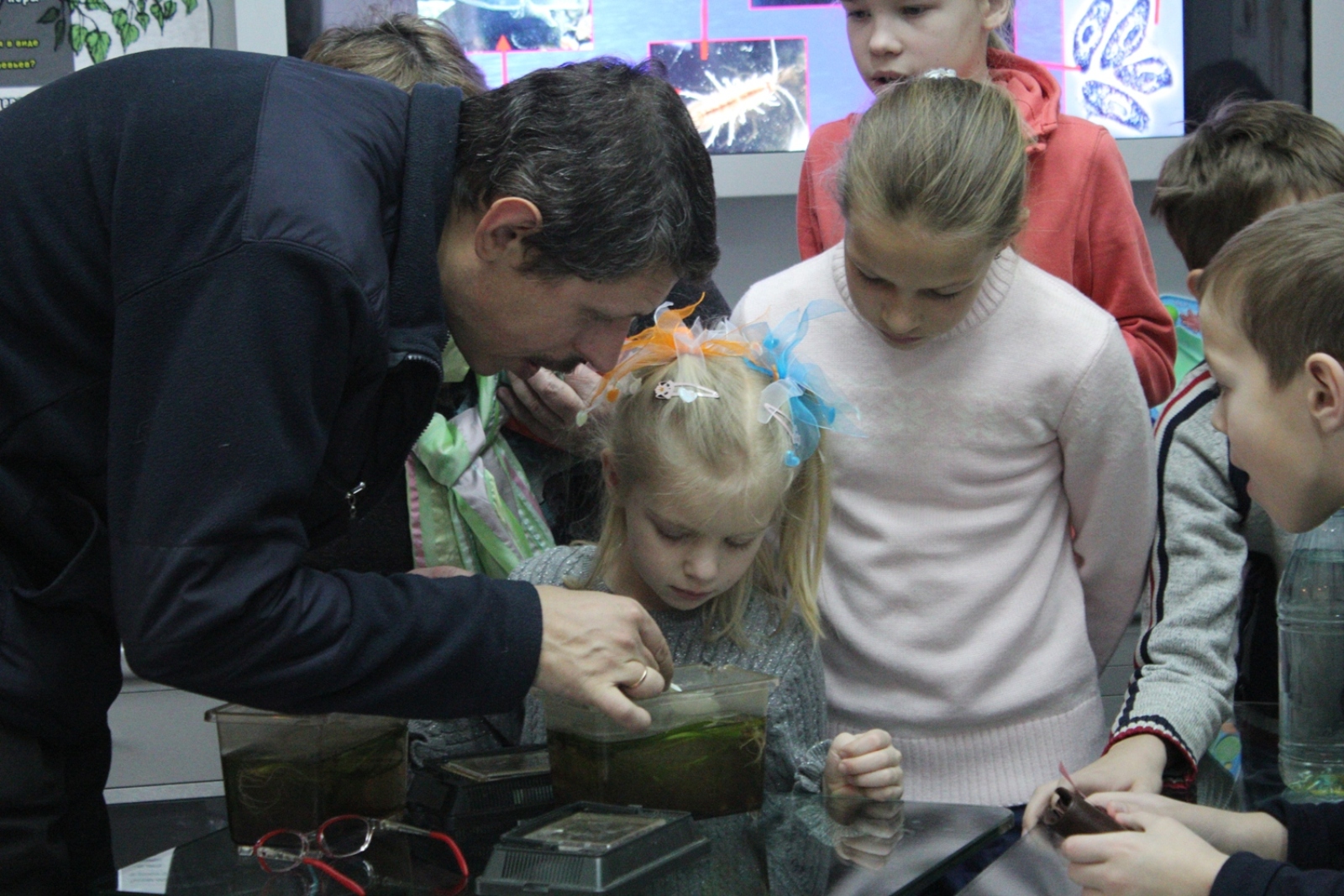 «Усачи&Бородачи» в Биологическом музее – события на сайте «Московские Сезоны»