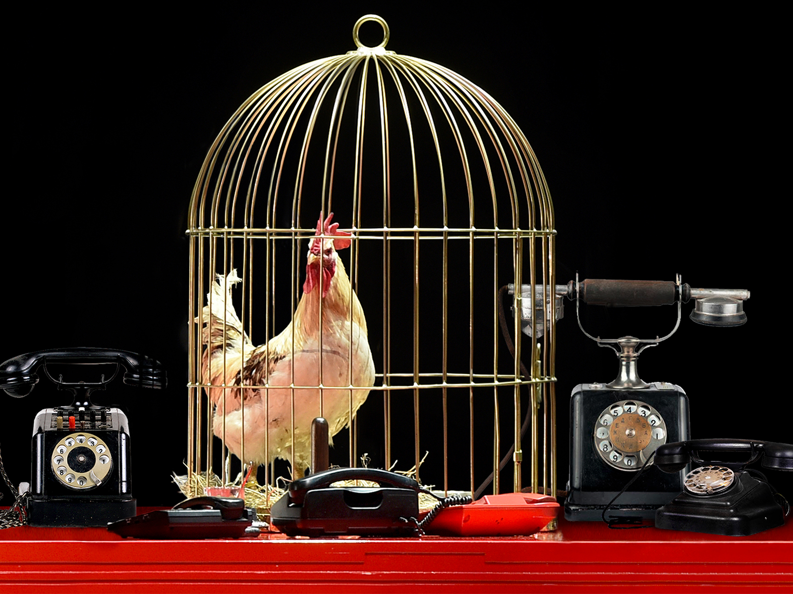 «Золотой петушок» в театре «Геликон-опера» – события на сайте «Московские Сезоны»