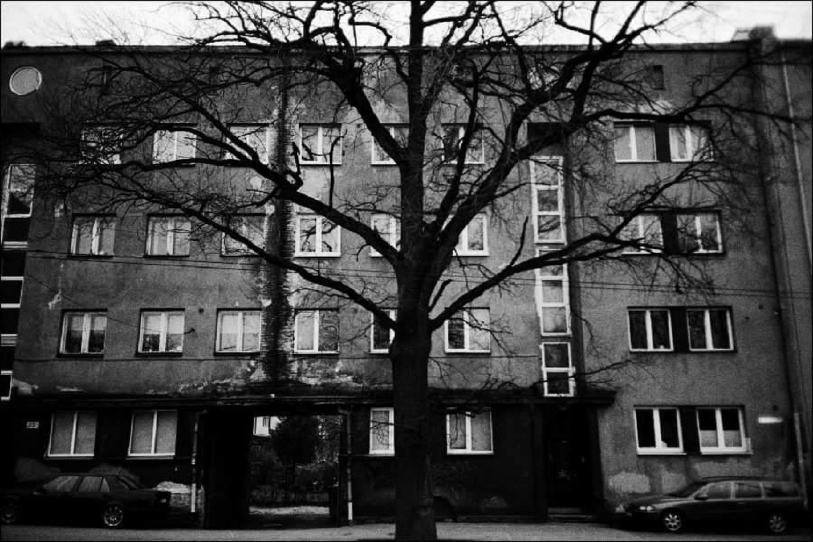 «Присутствие. 2.0» в галерее «Богородское» – события на сайте «Московские Сезоны»