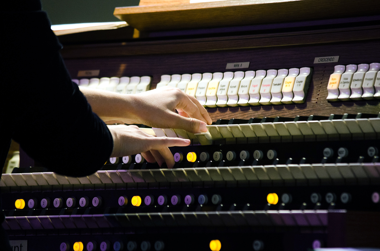 «Призрак оперы. Орган, оркестр, хор» в кафедральном соборе Святых Петра и Павла – события на сайте «Московские Сезоны»