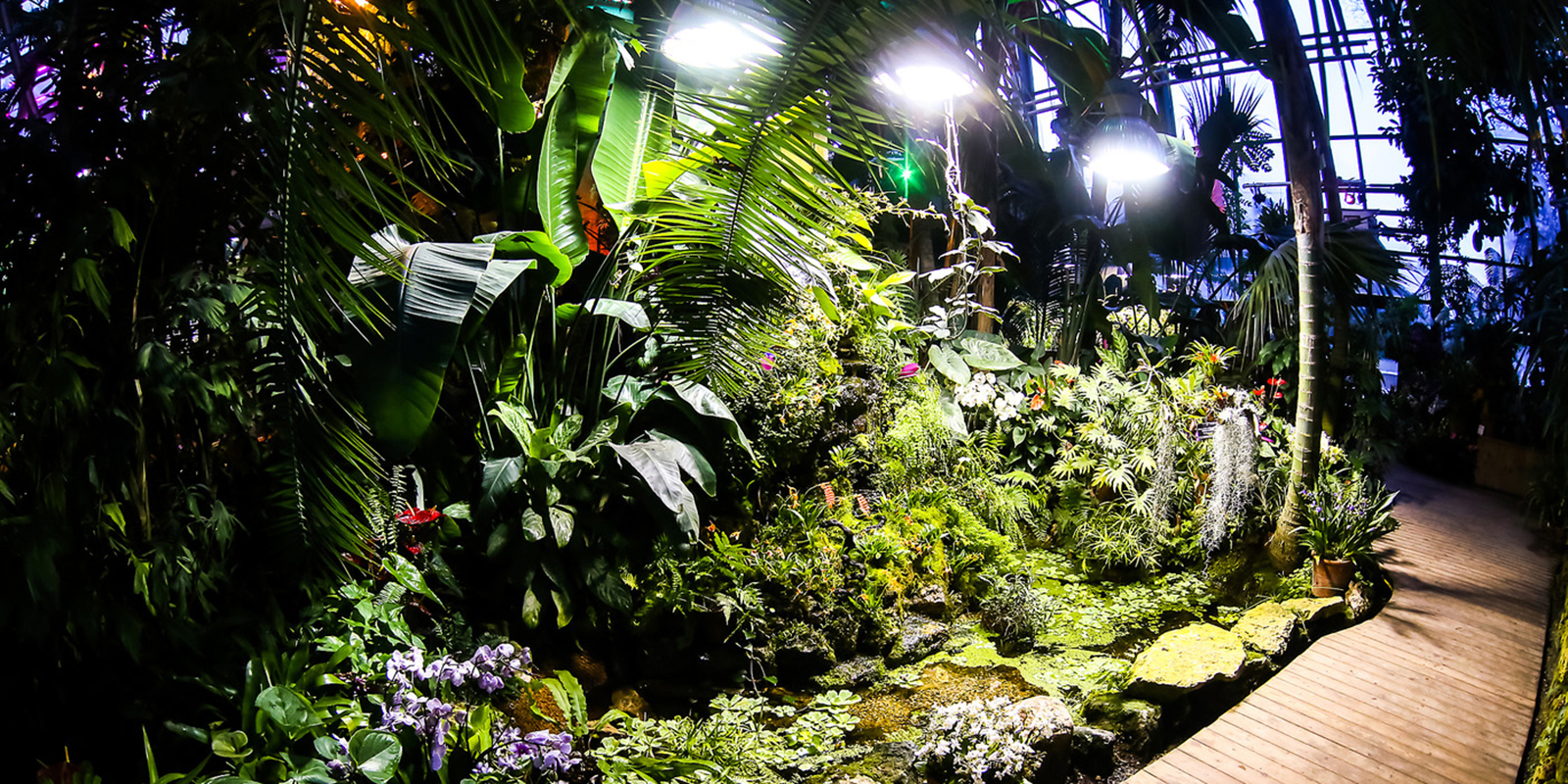 Концерт Дэвида Брэйда в «Аптекарском огороде» – события на сайте «Московские Сезоны»