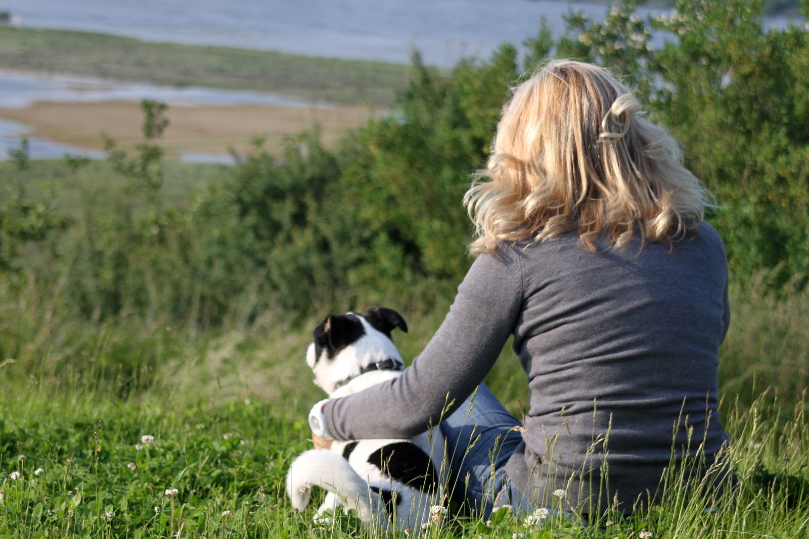 «Гений в собачьей шкуре» в Дарвиновском музее – события на сайте «Московские Сезоны»