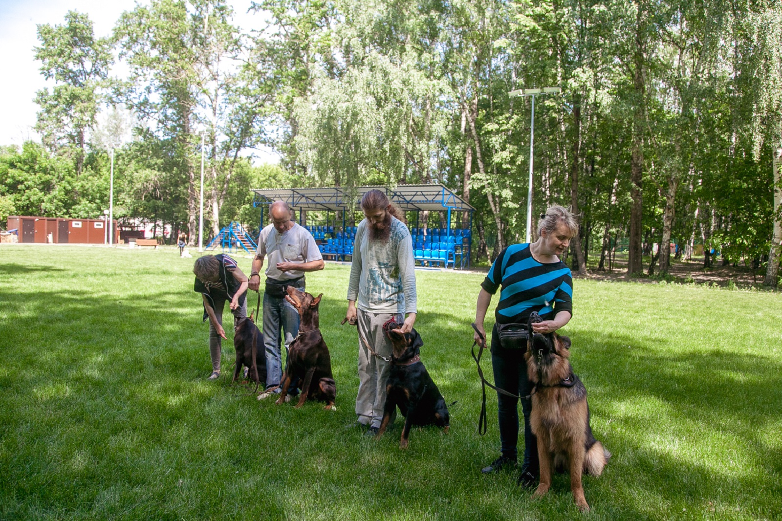 Международный день собак в «Сокольниках» – события на сайте «Московские Сезоны»