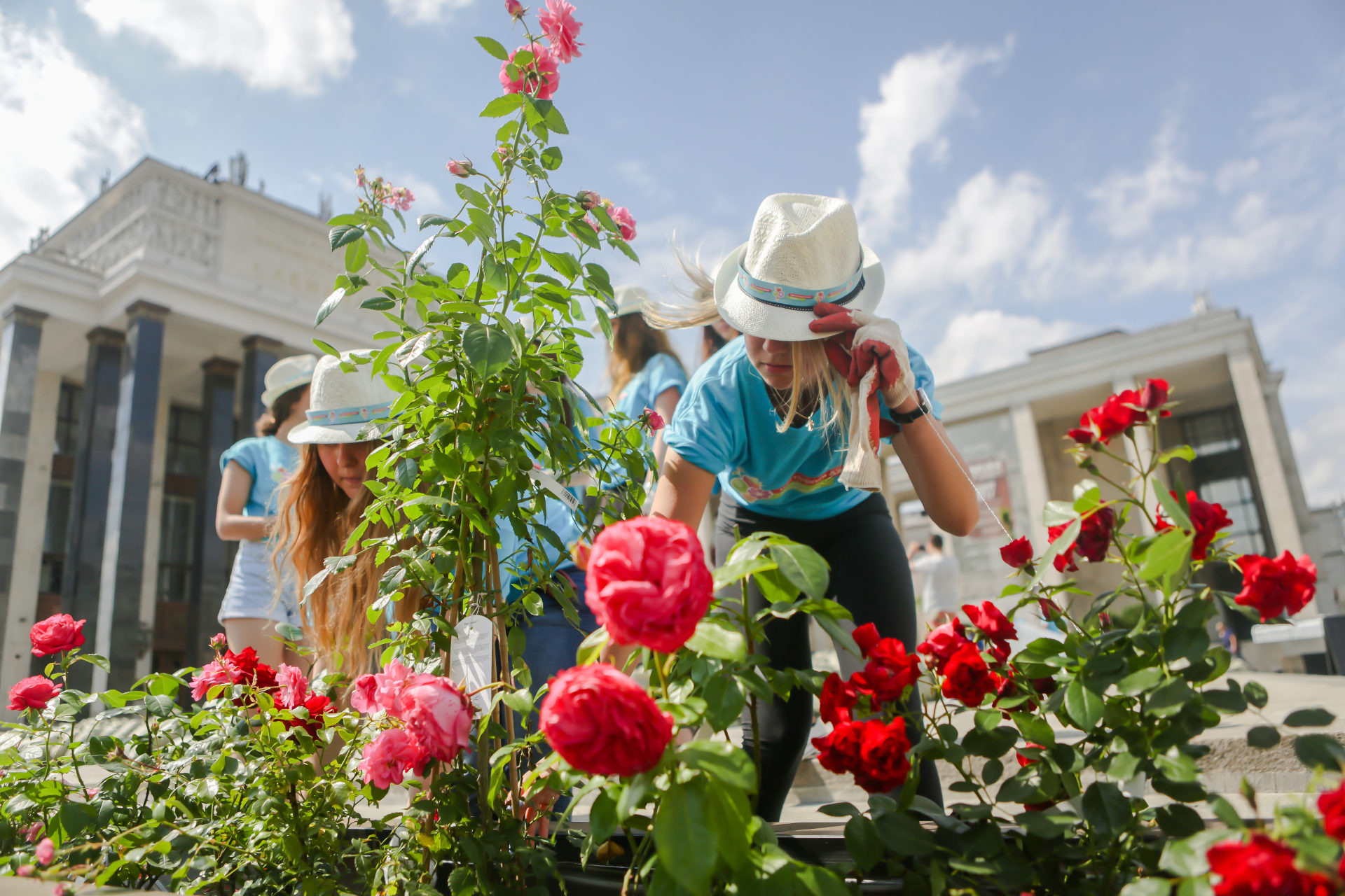 Конкурс любительских цветников – события на сайте «Московские Сезоны»