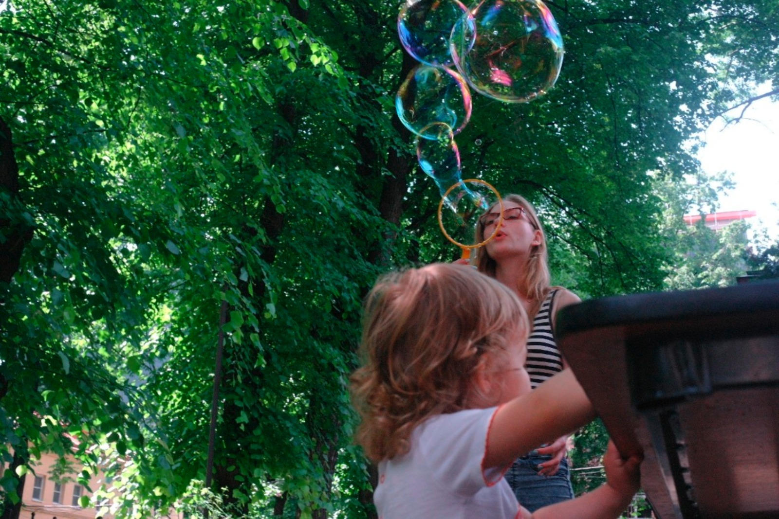 «Секреты цветного лета» в Биологическом музее – события на сайте «Московские Сезоны»